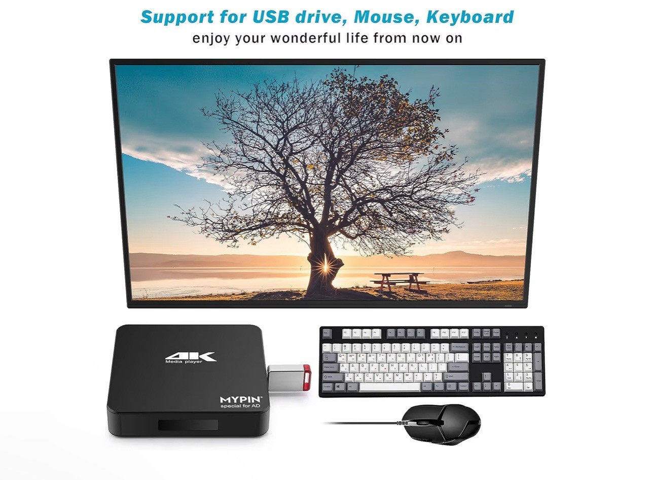 4K@60hz MP4 Media Player Support 8TB HDD/ 256G USB Drive/SD Card with HDMI/AV…