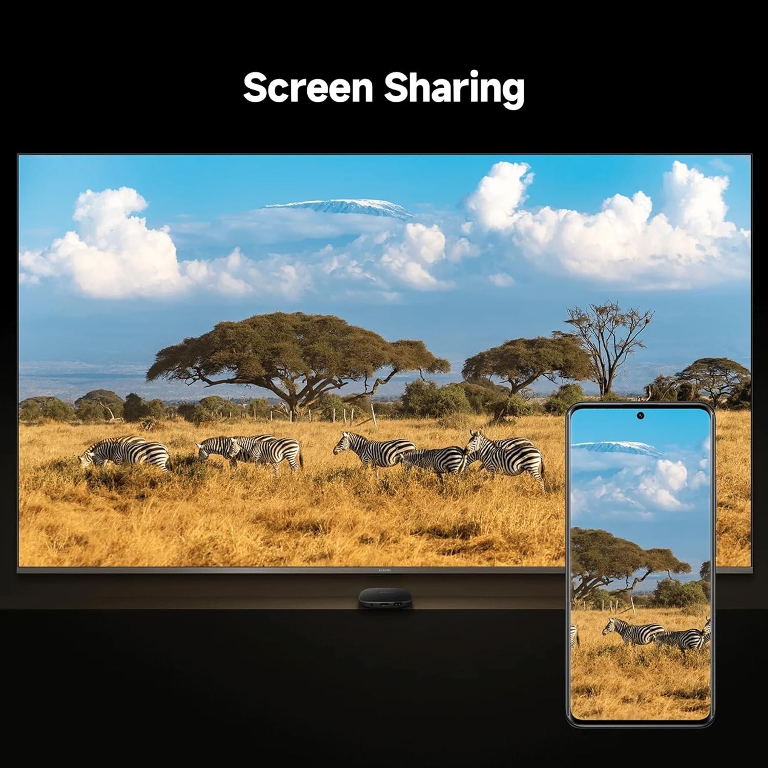 Compact 4K Streaming Box with Google TV and 32GB Memory – Ultimate Entertainment