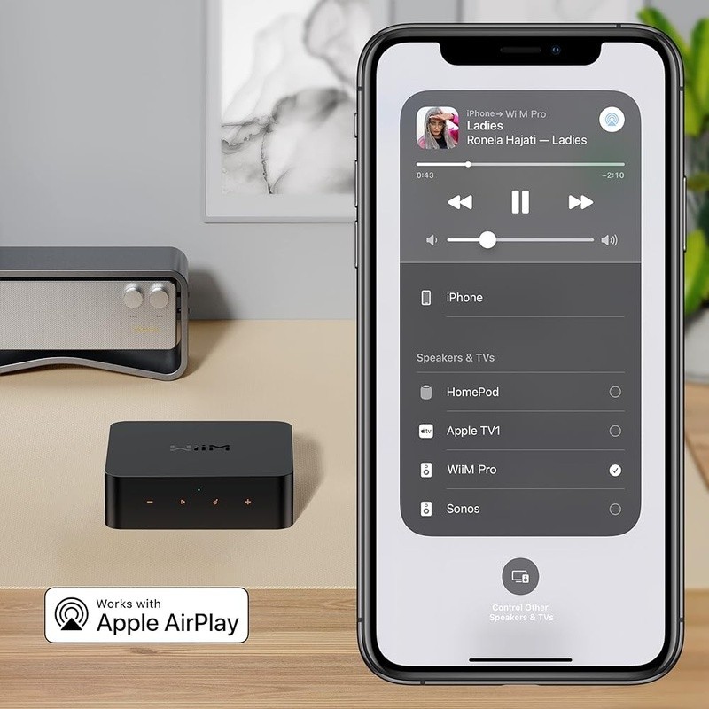 AirPlay 2 Receiver Google Cast Audio Hi-Res 192kHz Alexa Google Siri Compatible