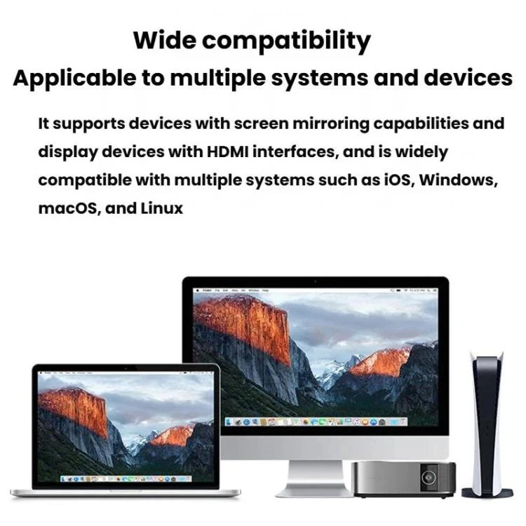 2 In 1 Type-C Portable Wireless Screen Mirroring Device HDMI Computer Wireless P