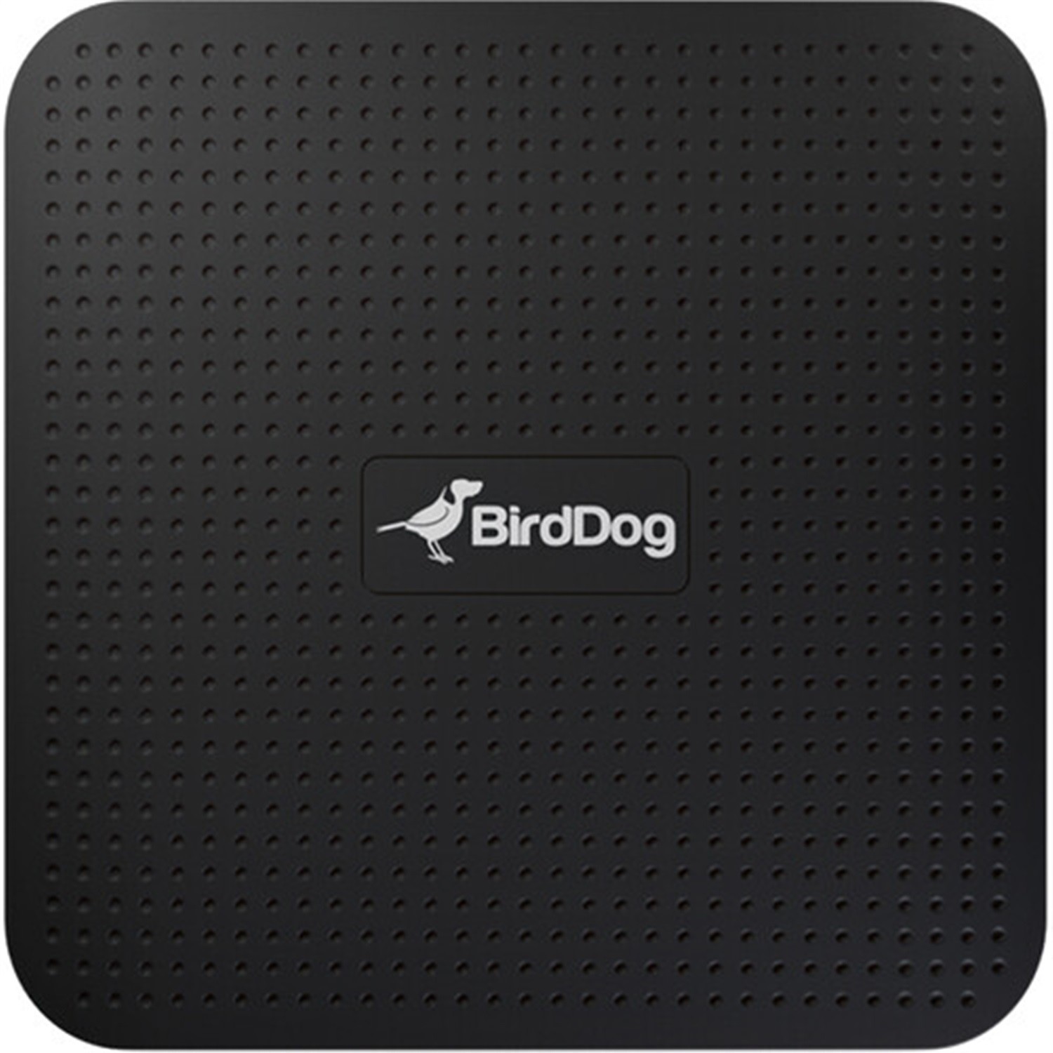 BirdDog Play 4K NDI Player