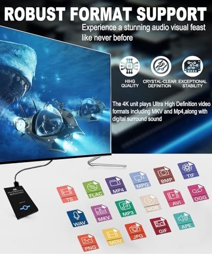 4K Ultra HD Media Player HDD Enclosure for USB and MicroSD Cards