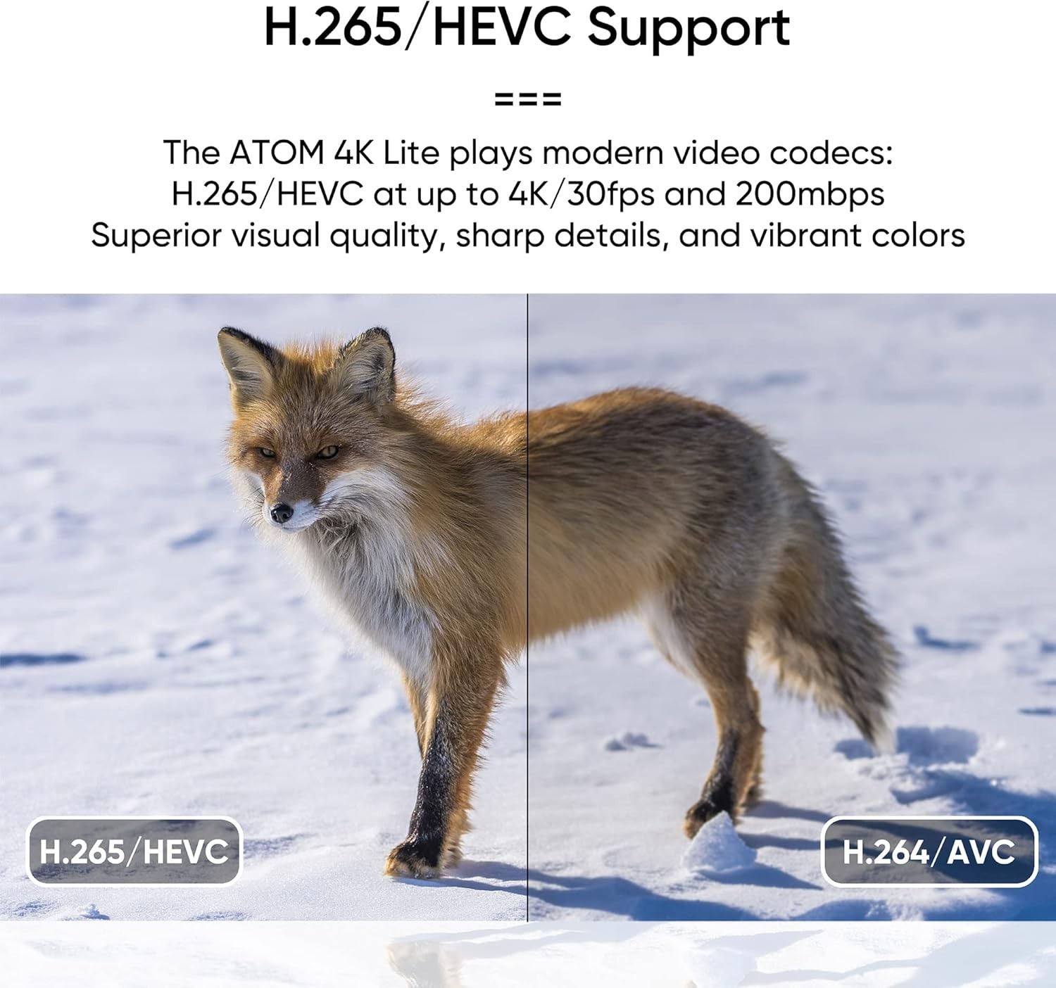 Compact NEUMI Atom 4K Ultra-HD Media Player with Seamless Video Switching