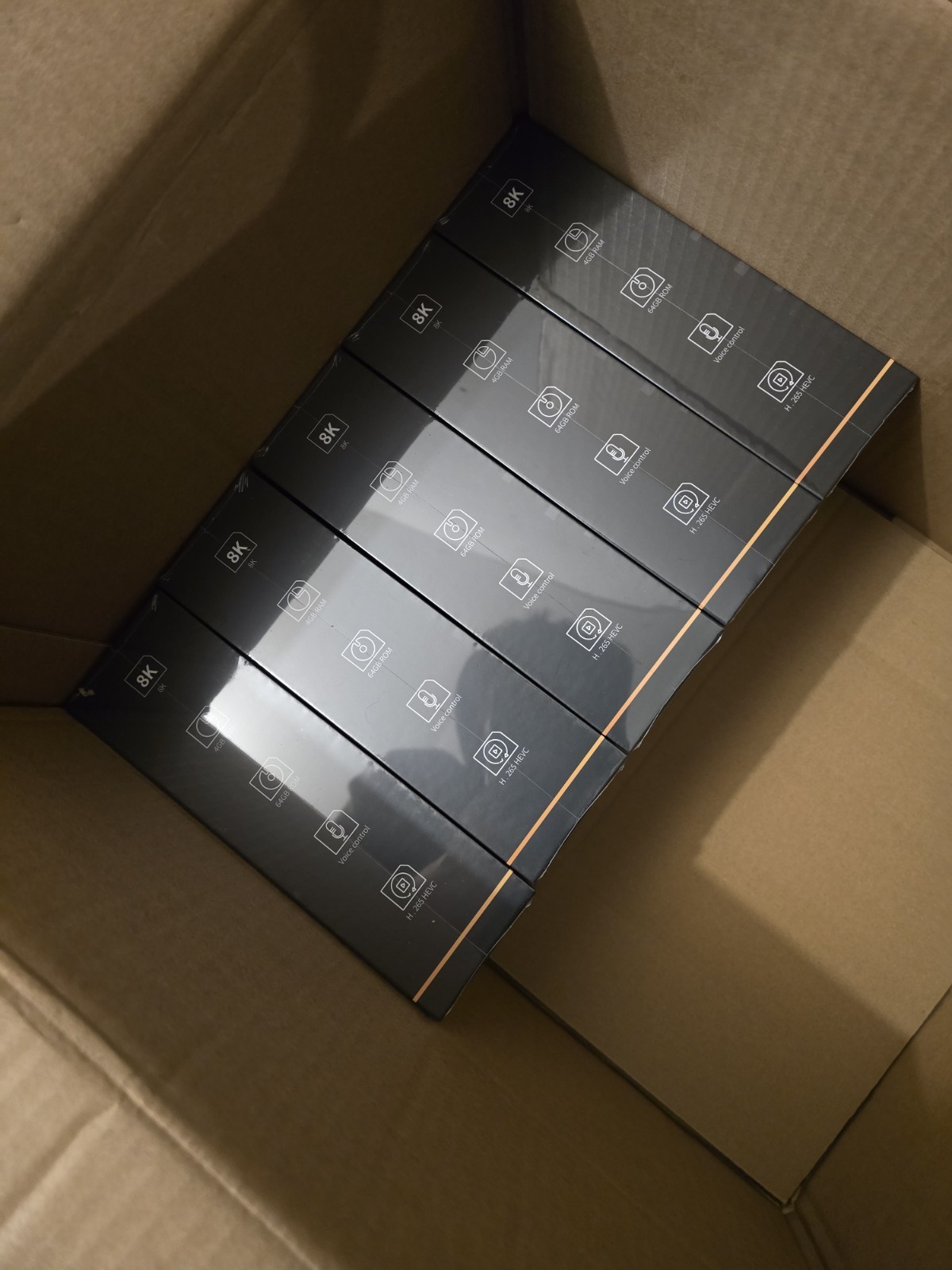 V6 Plus
