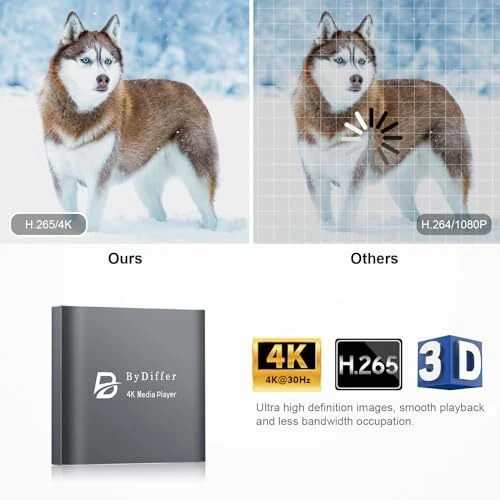 4K HD Digital Media Player TV MP4 Video Player USB Drive/Micro SD Card w/ Remote