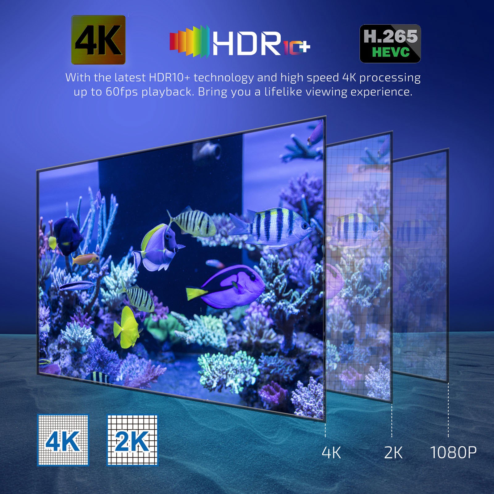 X98Q 11.0 Box Amlogic S905W2 UHD 4K Media Player 2.4G/5G D TJIT