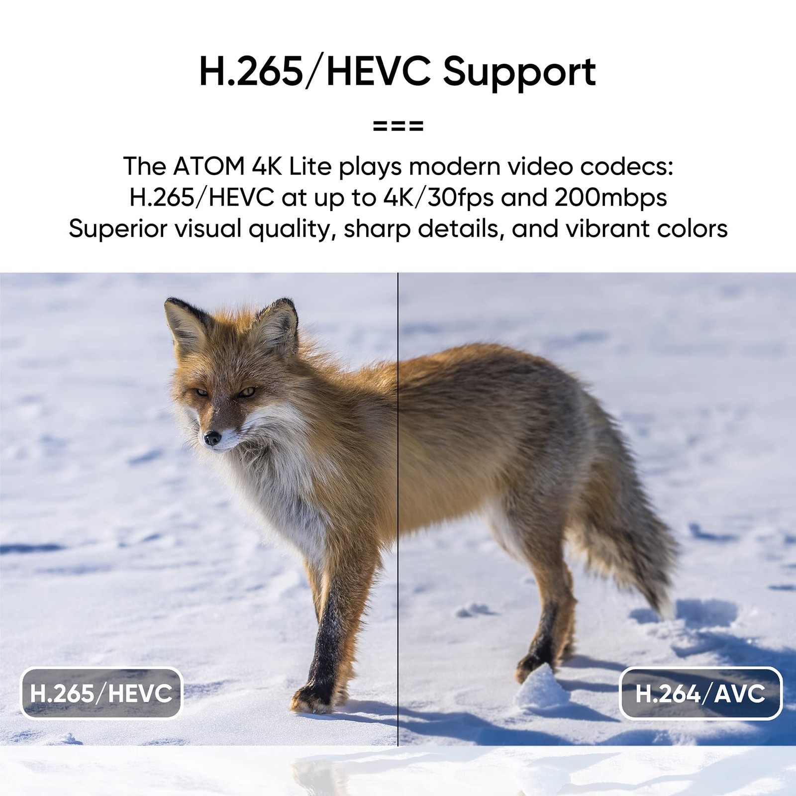 4K Digital Media Player NEUMI Atom Lite Ultra HD for USB Drives SD Cards Plays..
